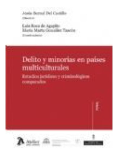 Libro- Delito Y Minorías En Países Multiculturales.