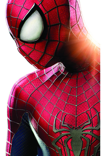 Banner Infantiles El Hombre Araña 120x80cm El Hombre Araña
