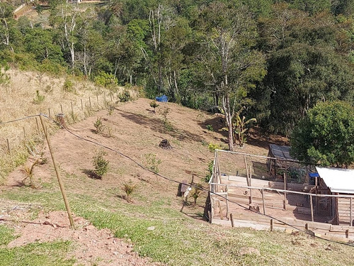 Imagem 3 de 3 de Chácara Em Formação!!!