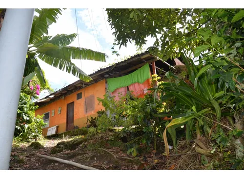 Venta Finca 77000 Mts2 Abejorral Vereda El Guaico
