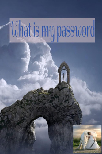 Libro: What Is My Password: Personal Internet Address & Log