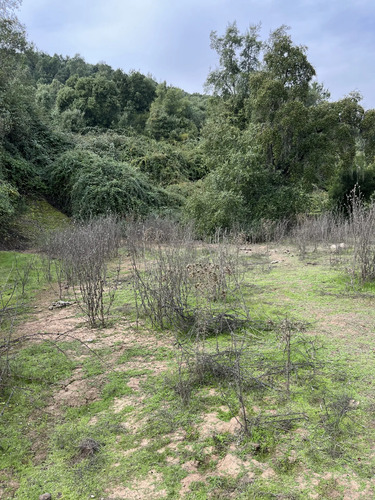 Venta Hermoso Terreno Con Orilla De Estero