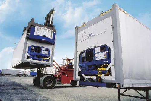 Contenedores Marítimos Refrigerado Cámara Frío 40hc Añelo