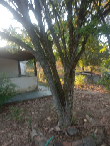 Sitio, Sendo Casa Com 3 Quartos,uma Suite,um Banheiro Social