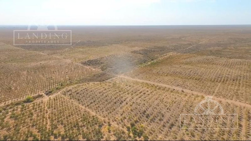Imagen 6 de 6 de Campo En Venta - Finca Productiva En Mendoza