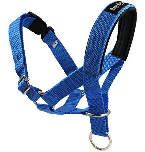 Collar Principal Perro Halter Tamaños 5 Azules (m: 8.25  -10