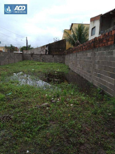 Imagem 4 de 11 de Terreno À Venda, 250 M² Por R$ 110.000,00 - Jardim Das Palmeiras - Itanhaém/sp - Te0076