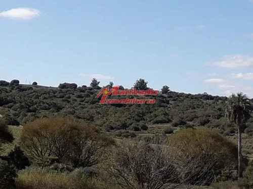 Imagen 15 de 15 de Venta De Chacra De 5 Hectareas En Paraje Las Cañas