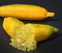 Comprar Limon Caviar Amarillo Real - Exotico Enano Para Maceta Wow