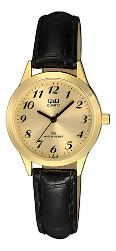 Reloj Q&q Qyq C153j103y Casual Cuero Mujer Dama + Estuche Color De La Correa Negro