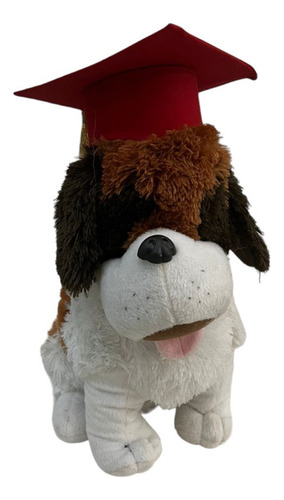 Perro Mod 07 De Graduacion Hermoso 40cms Birrete Rojo