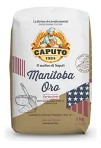 Comprar Harina Caputo Manitiba Oro Grano Profesional Fuerte Tipo 0