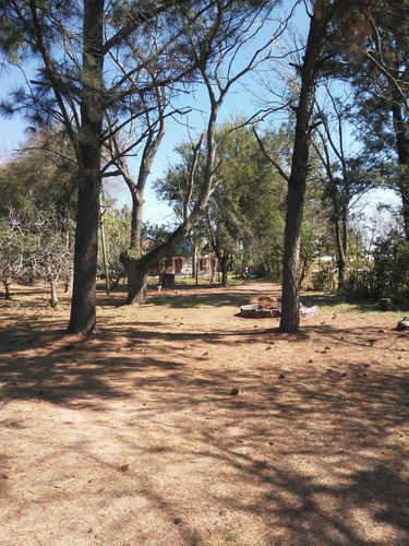 Imagen 10 de 21 de Excelente Quinta Sobre El Río Coronda