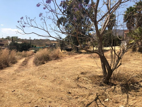 Imagen 4 de 4 de Terreno En Venta En Huayapam, Oaxaca