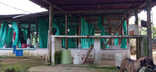 Imagen 20 de 22 de Vendo Finca Bitaco