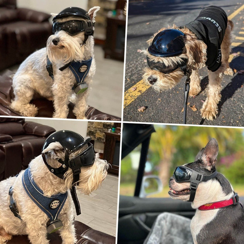 Casco De Moto Con Gafas For Perros Pequeños Y Medianos