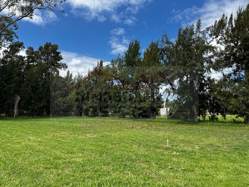 Lotes De 833 M2 (16,66 X 50) En Venta. - Dentro De Barrio Cerrado La Mina - General Belgrano. No Abona Expensas. Excelente Ubicación.