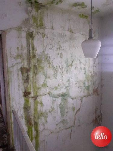 Imagem 14 de 24 de Comercial - Ref: 244619