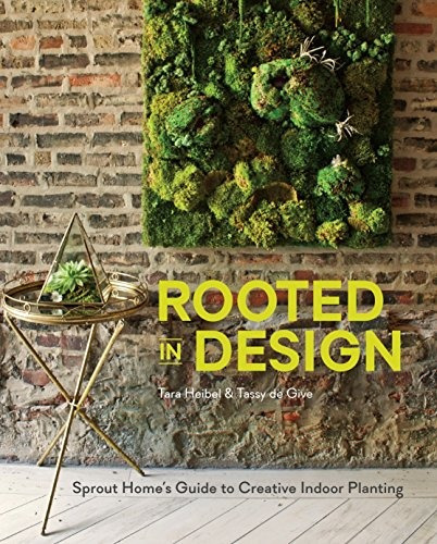Rooted In Design Sprout Homes Guide To Creative Indoor Plant
