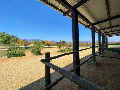 Imagen 24 de 29 de Sitio En 3 Has En Venta - Catapílco, Zapallar