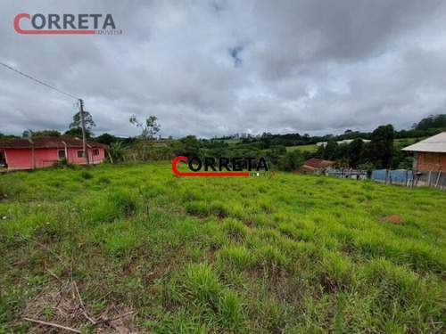 Imagem 3 de 5 de Lote Com 5400m² Localizado No Bairro Cupím. - 270