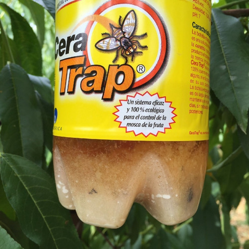 Imagen 4 de 6 de Cera Trap 2 L Cebo Para Mosca De La Fruta Control Orgánico