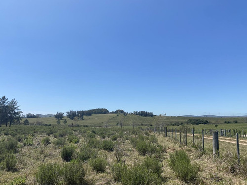 Imagen 5 de 17 de Chacra - Pueblo Edén