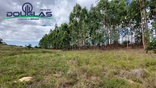 Imagem 6 de 15 de 4 Hectares Ótima Localização - 1714