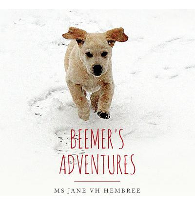 Libro Beemer's Adventures - Hembree, Jane Vh