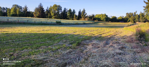 Parcela Plana A 29 Km De Villarrica Con Luz Y Agua 