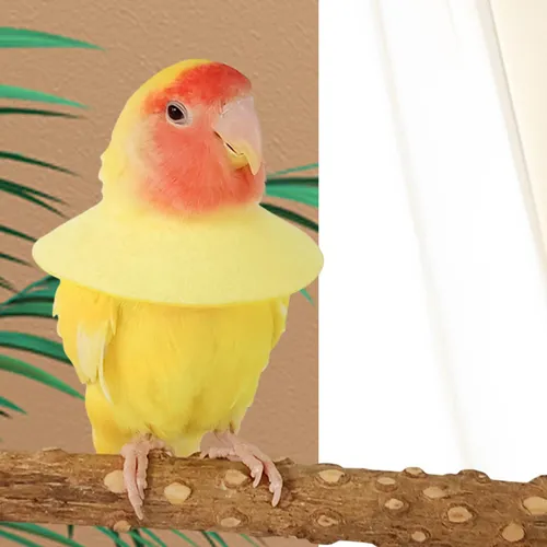 2 Collar Antimordeduras Para Loros, Desplume De Plumas Sg