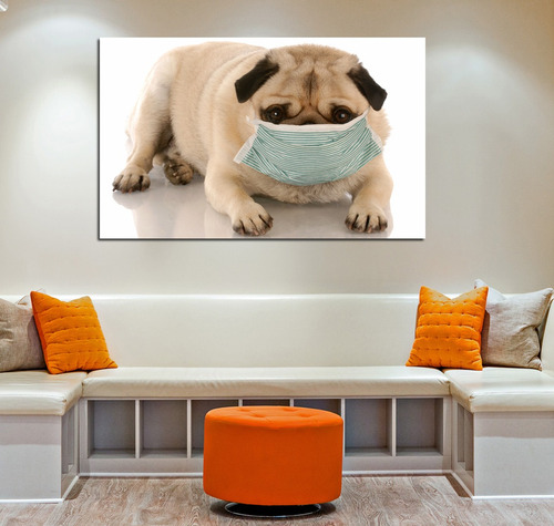 Cuadro 50x75cm Perro Pug Con Barbijo Veterinaria Pet Shop