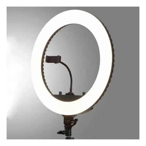 Aro De Luz Profesional Hq 18 55w Con Usb, Control + Tripode