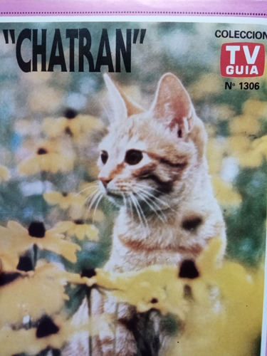 Láminas Centrales Diferentes De La Revista Tv Guía Año 1988. (Usado)