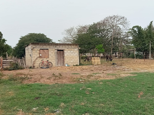 Terreno En Venta En Veracruz Ideal Para Inversión En Mata Cocuite Ver.