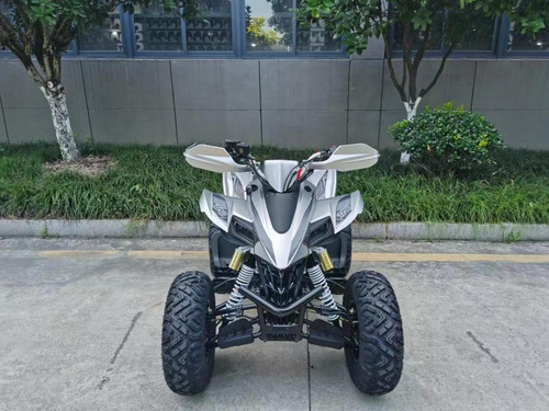Imagen 4 de 21 de Cuatrimoto Predator 250cc Deportiva Mecanica 16hp. 0 Kl 2023