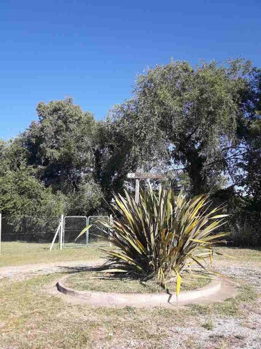 Imagen 2 de 4 de Lote En Venta En La Loma