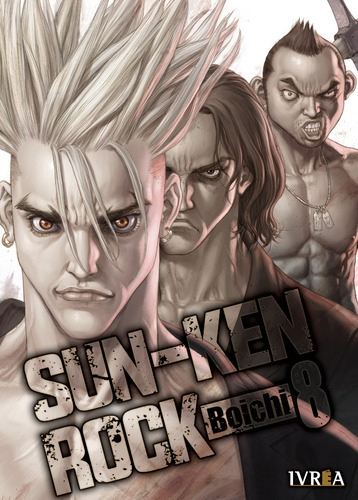 Sun Ken Rock #8, De Boichi. Serie Sun Ken Rock Editorial Ivrea, Tapa Blanda, Edición 1 En Español, 2022