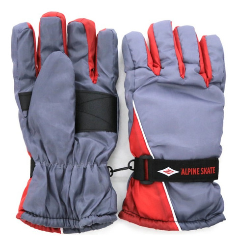 Guante Moto Alpine Skate Frio Invierno Reforzada Impermeable