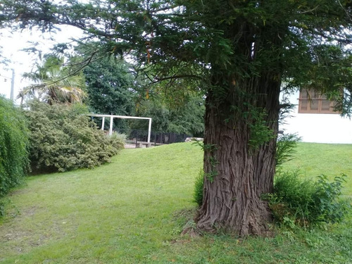 Imponente Lote Esquina De 3800 M2 (95 X 40)- Ideal Para Housing