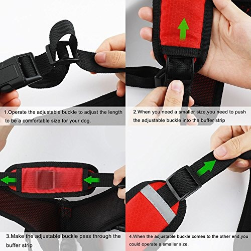 Senderismo Para Perros Mochila Impermeable Hound Saddle B