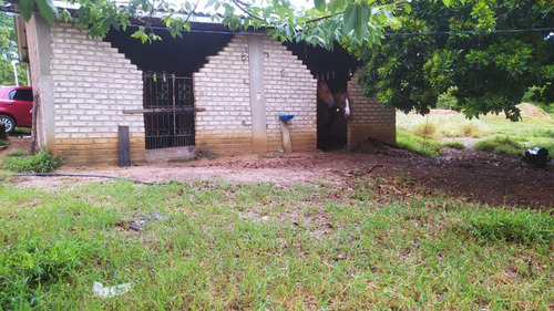 Propriedade Rural Próxima A Cidade Em Senhor Do Bonfim - Ba
