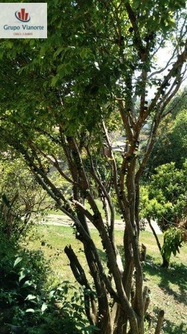 Imagem 2 de 17 de Chácara A Venda No Bairro Centro Em Mairiporã - Sp. - P0414-1