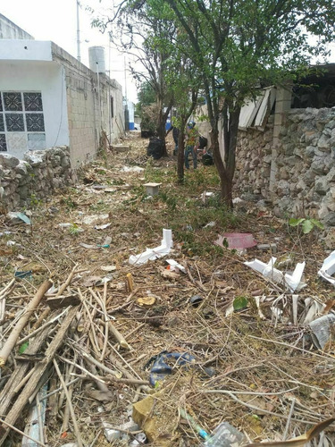 Imagen 3 de 5 de Venta Terreno