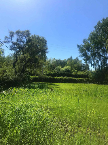Imagen 3 de 3 de Lote C/amarra Club Jardín Náutico Escobar