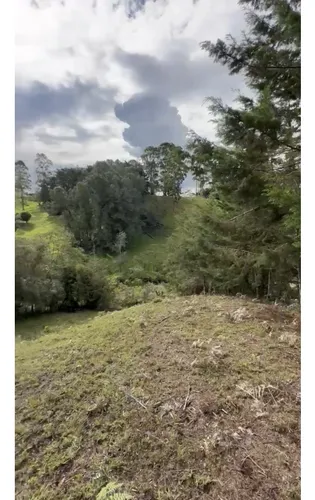 Lote Independiente Rionegro Vereda Ojo De Agua