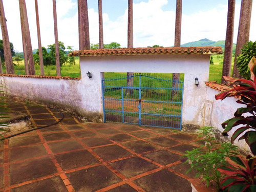 Dc224456 En Venta Hermosa Finca En Los Chaguaramos, Sabaneta Norte - Montalbán Carabobo