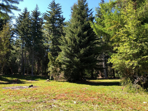 Imagen 28 de 30 de Exclusivo Lote 5018 M2 Con Costa Lago Nahuel Huapi, V. La Angostura,apto 3 Uf