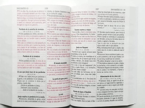 Biblia Económica Reina Valera 1960 Letra Grande