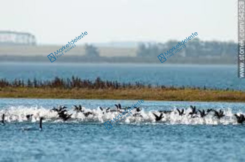 Chacra 43 Has Laguna Garzon